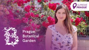Cover photo, Prague Botanical Garden, Supreme Prague